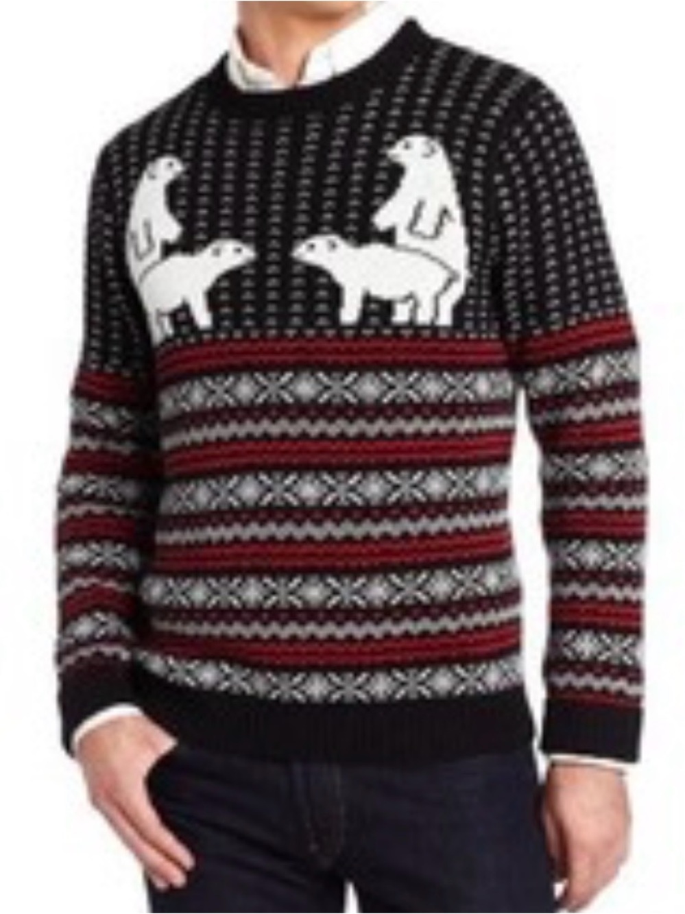 Alex Stevens
Polar Bear Funny Fair Isle
Cotton Crewneck Sweater by
Alex Stevens